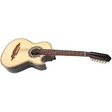 Acoustic Bass Guitars