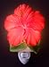 Red Hibiscus Night Light - Ibis & Orchid Flowers of Light Collection