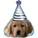 Party Pups Birthday Shaped Mylar Party Balloons (5 count)