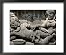 Ancient Stone Carved Panel, Borobudur Temple, Unesco World Heritage Site, Island of Java, Indonesia Places Framed Art Poster Print by Jane Sweeney, 22x18