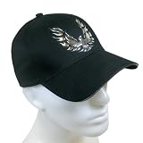 Pontiac Firebird Liquid Metal Baseball Hat by Pontiac