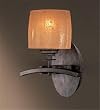 Minka Lavery Raiden Iron Oxide 1 Light Bath 6181-357