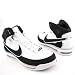 Apparel : NIKE Air Max Elite II TB New Basketball White Mens