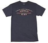 Florida State Seminoles Distressed Logo Short Sleeve T-Shirt