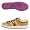 Purple/Gold