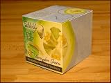 Pyramid Honey Dew Green Teas 10 Infuser Bags