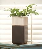 Dark Grey And Ivory Short Square Vase Ceramic Set of 4