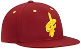 NBA Men's Cleveland Cavaliers Flat Brim Flex Hat - Tt77Z, Small/Medium , Team Color , Burgundy