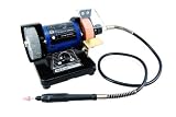 Mini Bench Grinder & Polisher with Flex-Shaft Rotary Micro-Tool with 100-Piece Accessory Set