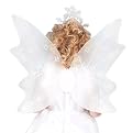 Snowflake Fairy Wings