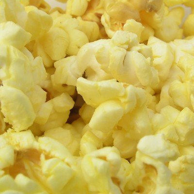 Great Northern Popcorn, 4-Ounce Portion Packs (Pack of 24)