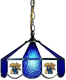 NCAA Kentucky Wildcats 14 Tiffany Style Hanging Lamp