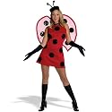 Lady Bug Costume