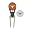 Texas Longhorns