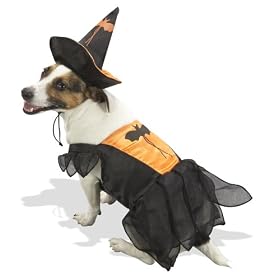 Orange Witch Halloween Pet Costume
