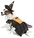 Orange Witch Halloween Pet Costume, Medium, 12-17 lbs