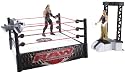 World Wrestling Entertainment Launching Entrance Ring