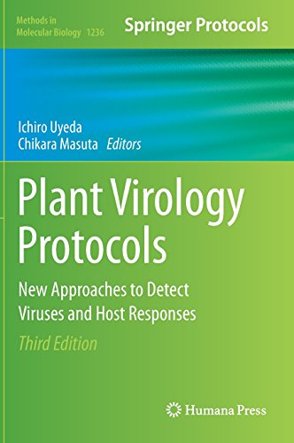 Plant Virology Protocols: New Approaches to Detect Viruses and Host Responses (Methods in Molecular Biology)