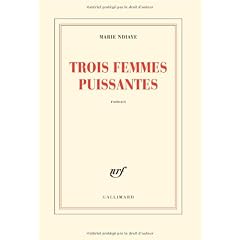 Trois femmes puissantes - Prix Goncourt 2009