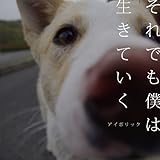 それでも僕は生きていく