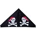 56 Delta, Jolly Roger