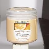 Punati Chemical 50316 Smells Begone Odor Absorber