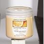 Punati Chemical 50316 Smells Begone Odor Absorber
