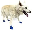 Natural Rubber Dog Boots - Reusable and Disposable Dog Booties (Dog Boots) - Blue - Medium