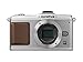 OLYMPUS �}�C�N����� PEN E-P2 �{�f�B �V���o�[ E-P2BODY-SLV