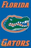 Florida Gators 2 Sided Large House Flag Banner