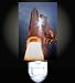 Space Shuttle Launch Decorative Night Light