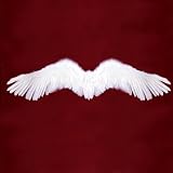 Large White Feather Halloween Costume Angel Wings Halloween for Men, Women, Adults 45x13inches