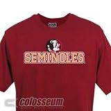 Men's Florida State Seminoles S/S Campus Yard Printed T-shirt