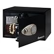 Security 0.5cu. ft. Capacity Safe with Sentry Safe