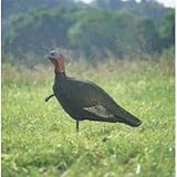 Feather Flex Decoys SF00847 Aggressive Jake Decoy