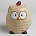 Tag 2-pc. Owl Cookie Jar