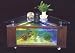 Corner Coffee Table Aquarium