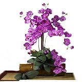 Nearly Natural Phalaenopsis Silk Orchid Flower w/Leaves (6 Stems)