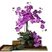 Nearly Natural Phalaenopsis Silk Orchid Flower w/Leaves (6 Stems)