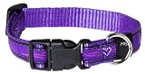 Rogz Fancy Dress Scooter Dog Collar, Medium 5/8″, Purple Chrome