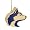 Washington Huskies