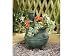 Tricor Aqua014 Cleve Water Pump/Planter Verd
