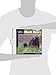 Black Bear (Our Wild World)