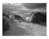 Montauk, Long Island Scenic Photographic Poster Print by April Aldighieri, 20x16