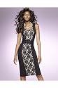 Newport News Shape fx Hold-you-in lace panel sheath dress