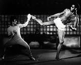 GAME OF DEATH BRUCE LEE KAREEM ABDUL-JABBAR 24X36 POSTER PRINT