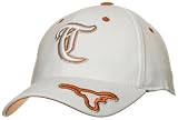 Texas Remix One-Fit Hat (White)