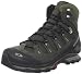 Salomon Men's Quest 4D GTX Hiking Boot,Olive/Dark Olive/Black,10 M US