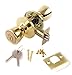 Lion Locks LICO0705 Tulip Entry Door Knob and Keyed Alike Single Cylinder Deadbolt, Polish Brass