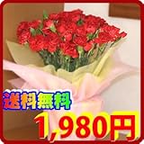 【送料無料】【母の日ギフト】カーネーション赤 5号鉢植え【5/5〜5/10の間にお届け】